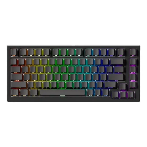 Teclado Magnético Gamer Akko Tac75 He 8k Rgb Preto Rapid Tri