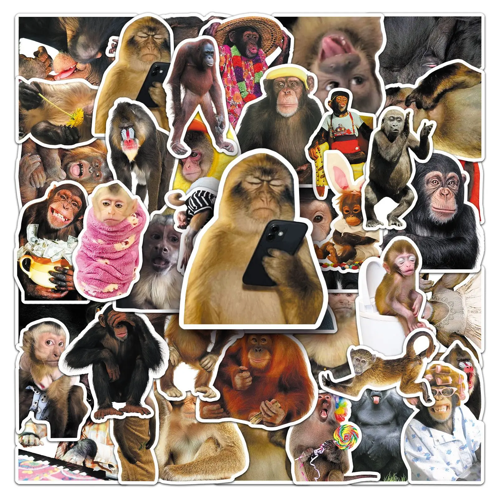 50 pçs louco engraçado macaco & orangotango doodle adesivos decalques à prova dwaterproof água para papelaria notebook capacete motocicleta mala geladeira