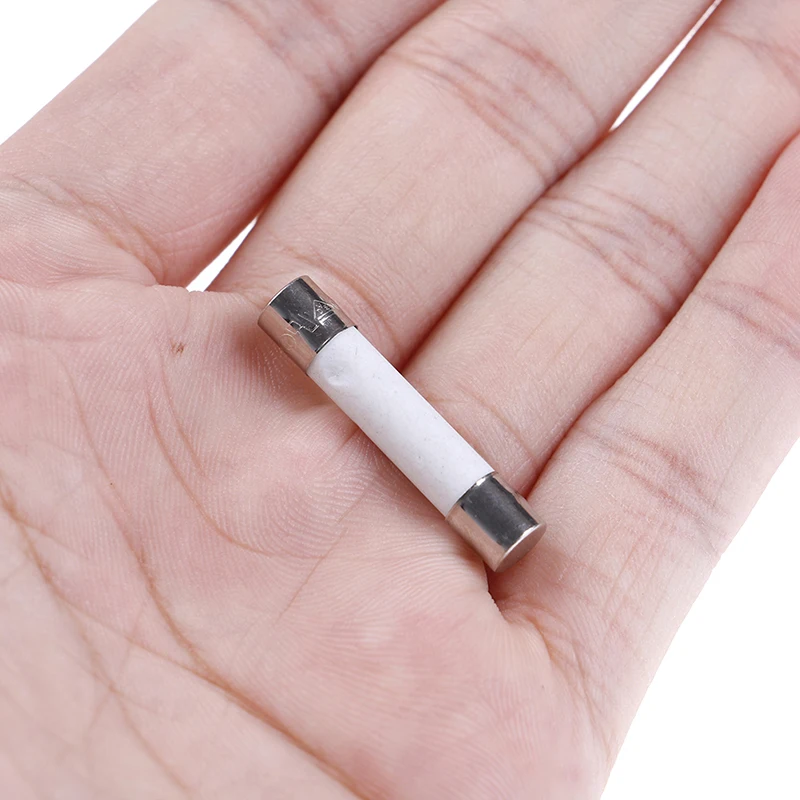 10 Pcs Microondas Fusível Cerâmico Elétrico 20A 250V Suprimentos para Casa DIY 6x30mm