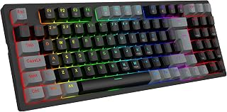 Teclado Mecânico Gamer com Fio 95 Teclas, RGB com 20 Modos de Iluminação, Switch Vermelho Hot Swap, Anti Ghosting, Teclado Compacto USB para PC, Notebook, Windows e Mac (Preto)