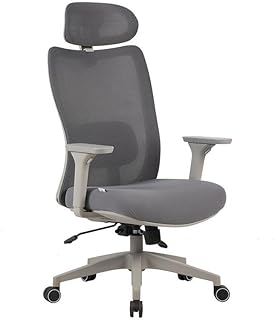 Elements Cadeira Ergonômica de Escritório Astra Pro com Apoio Lombar e Cabeça Ajustável, Cinza