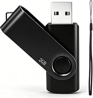 Pen Drive USB de 2 GB, 1 unidade Nicepicten Zip Drive USB 2.0 (preto)