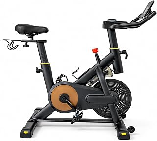 Winnek SYNC Bicicleta Ergométrica Spinning Magnética 13kg