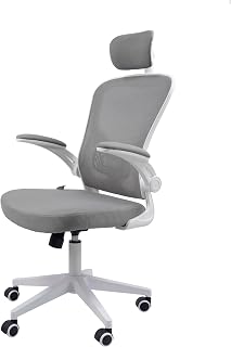 Cadeira Ergonômica Eurynom, Giratória, para Escritório e Home Office, com Encosto Reclinável, Braços Pivotantes, Apoio de Cabeça, Apoio Lombar (Cinza)