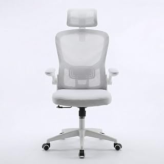 Cadeira Ergonômica Mesh com Apoio Lombar e de Cabeça Branca