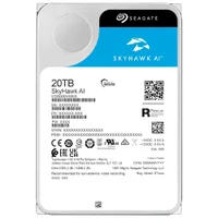 Hd Seagate 20tb Skyhawk Ai Surveillance 3.5" Sata 3 7200rpm - St20000ve003 (garantia Br)