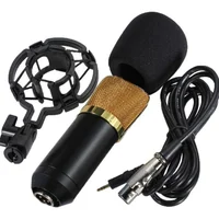 Microfone Condensador Profissional Unidirecional Youtuber Gravaçao Live Estudio Audio Musica Podcast Home Studio