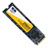 SSD NVME M.2 256GB - WINMEMORY