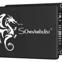 SSD 256gb Sata Iii Somnambulist Alta Velocidade