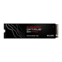 Sandisk Optimus Gx Pro 8100 PCie 5.0 Nvme SSD