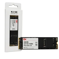 SSD 256gb M.2 Nvme PCie 3.0 2000mb/s Leit - 1600mb/s Grav Gta Tech
