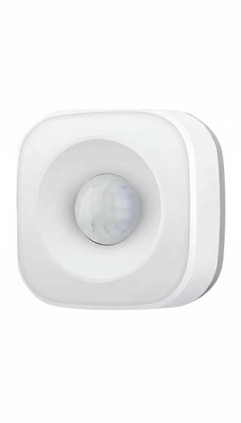 Sensor De Presença Inteligente Pir Tuya Alexa Google Home