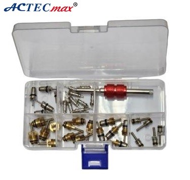 Kit schrader com ferramenta sacador de valvula enchimento com 36pçs