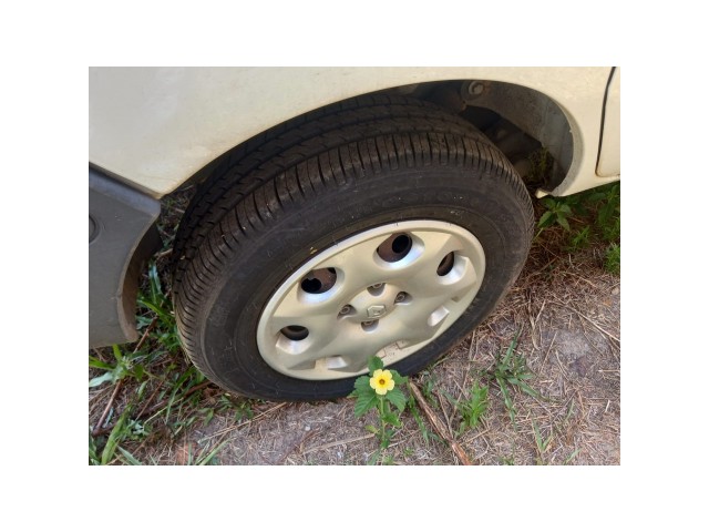 Vehicle_photo_2