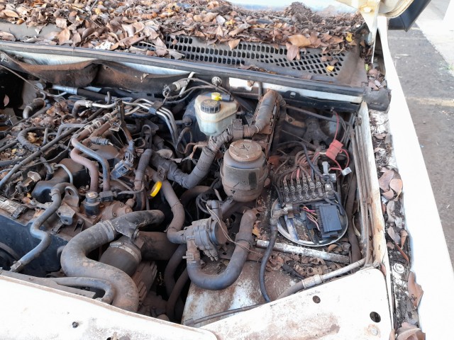 Vehicle_photo_11