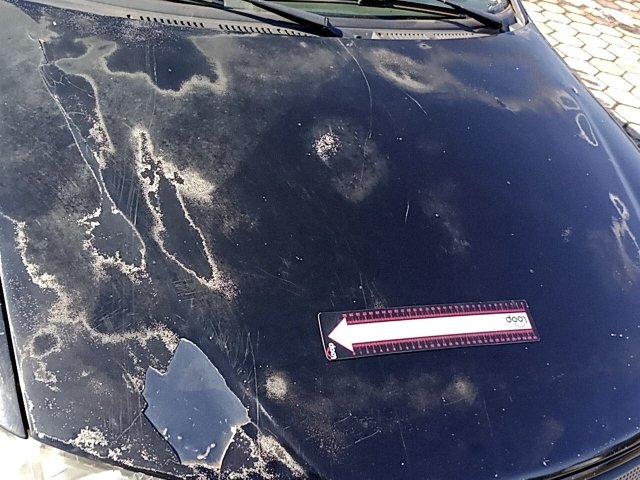 Vehicle_photo_18