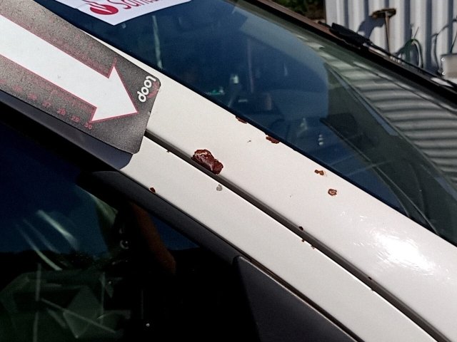 Vehicle_photo_18