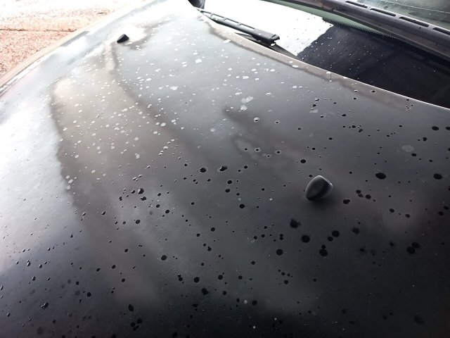Vehicle_photo_18