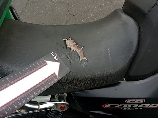 Vehicle_photo_18