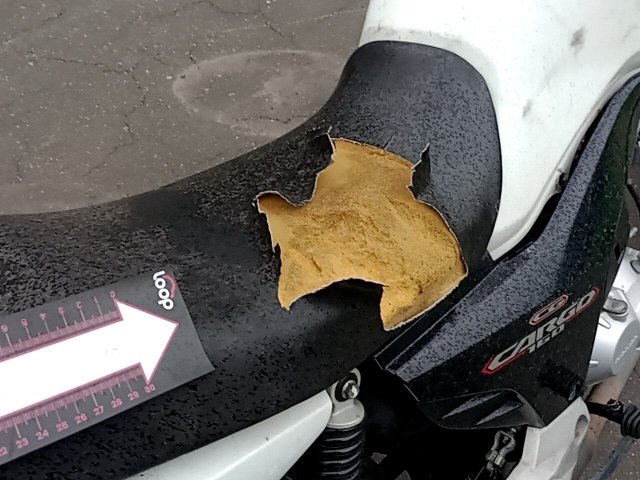Vehicle_photo_18