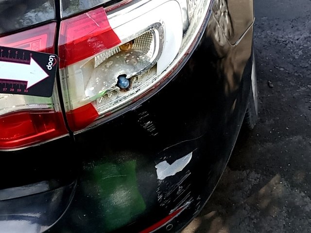 Vehicle_photo_19