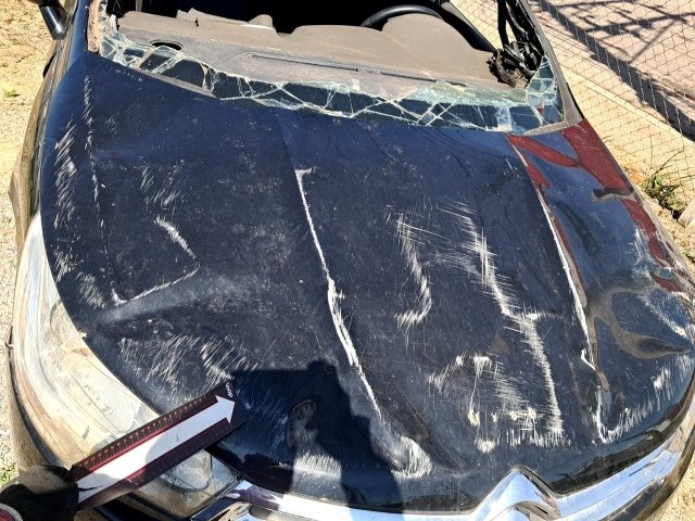 Vehicle_photo_29