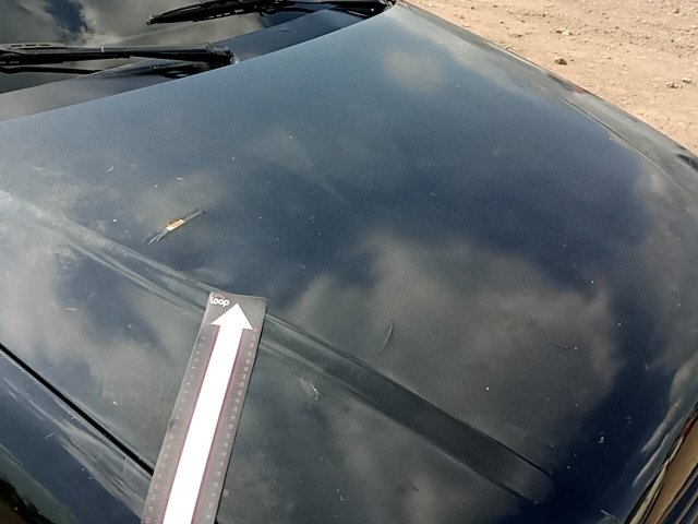 Vehicle_photo_28