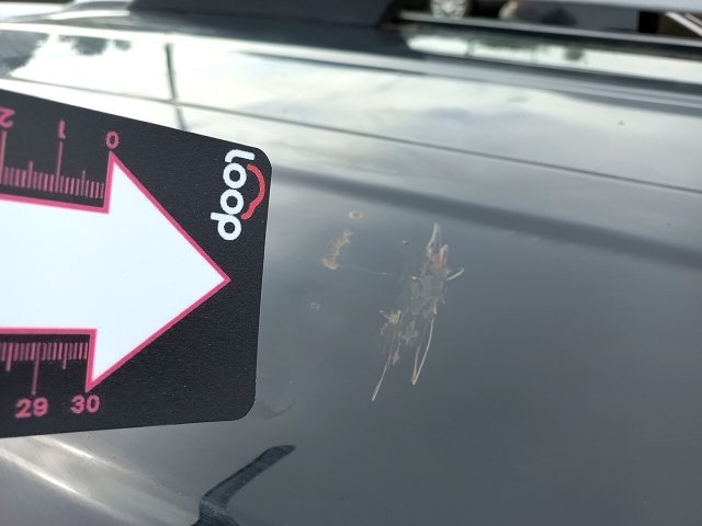 Vehicle_photo_27