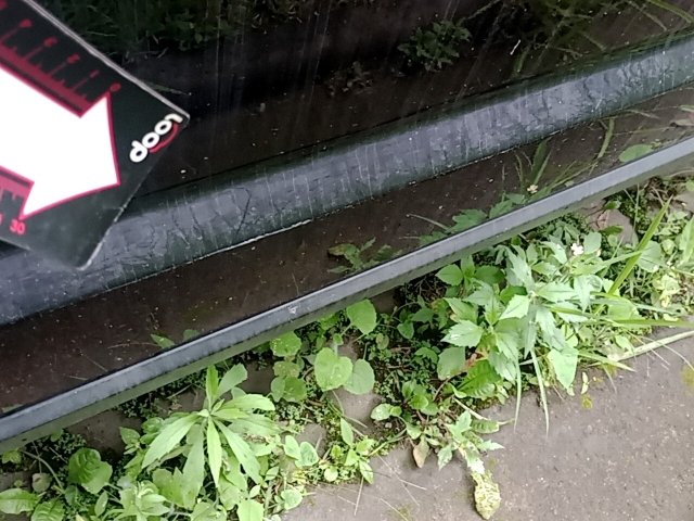 Vehicle_photo_27