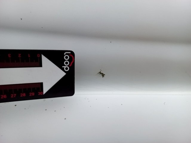 Vehicle_photo_28