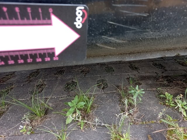Vehicle_photo_39