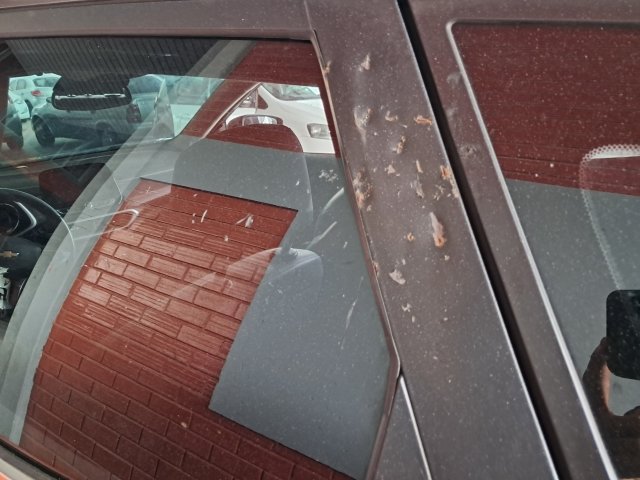 Vehicle_photo_29