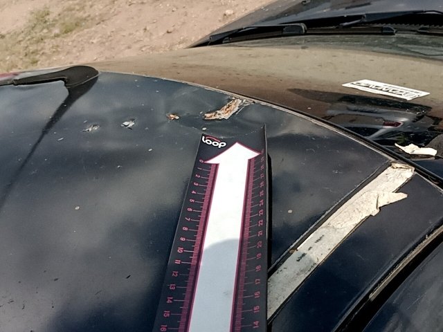 Vehicle_photo_18
