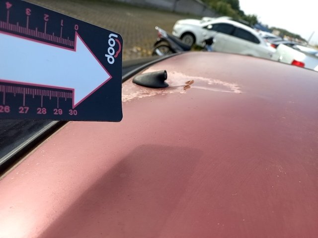 Vehicle_photo_41