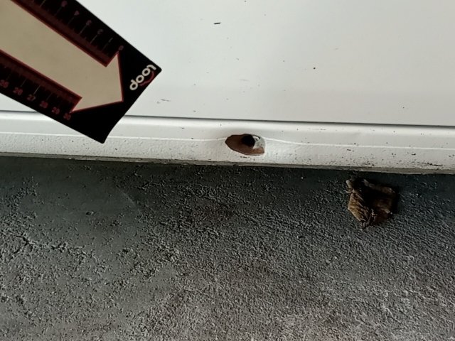 Vehicle_photo_31