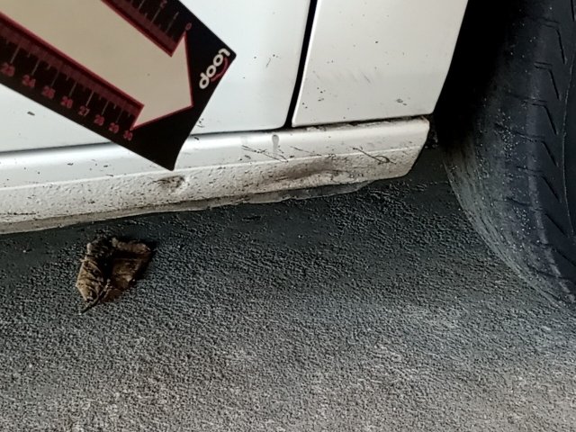 Vehicle_photo_32