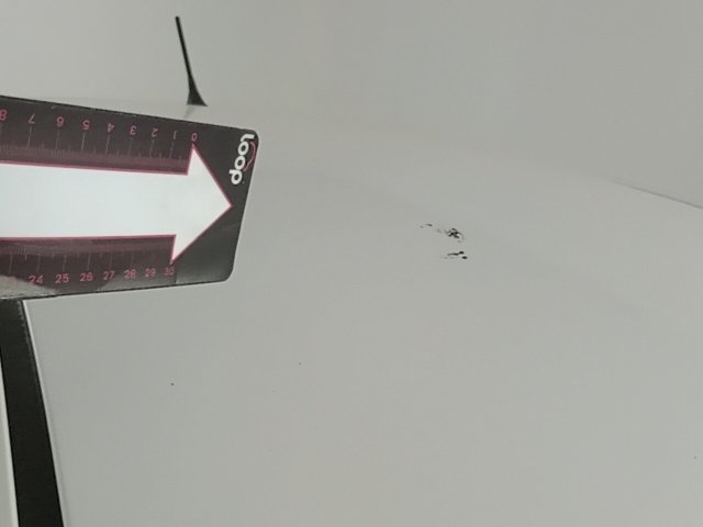 Vehicle_photo_42