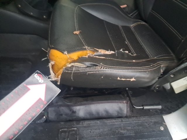 Vehicle_photo_35