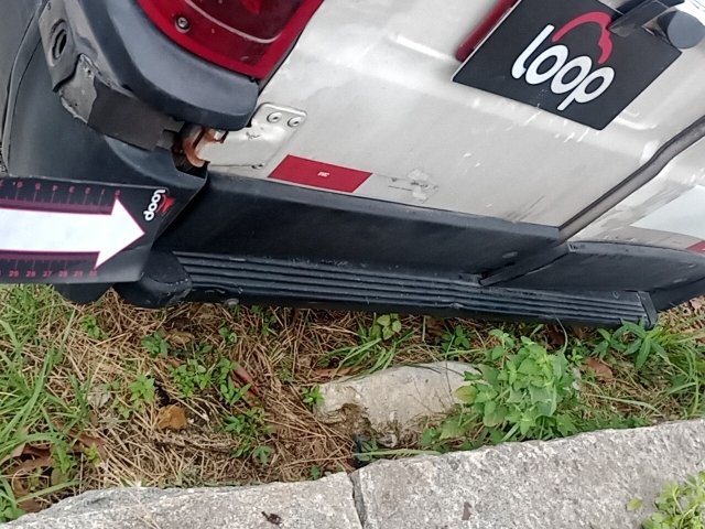 Vehicle_photo_43