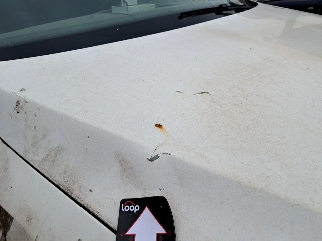 Vehicle_photo_33