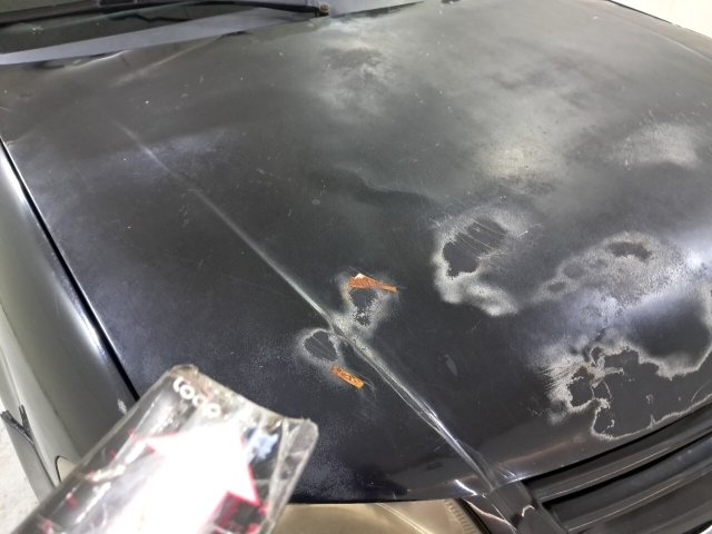 Vehicle_photo_15
