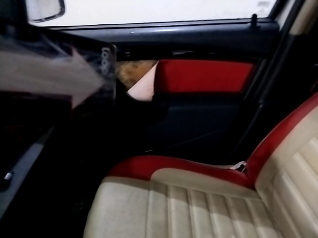 Vehicle_photo_40