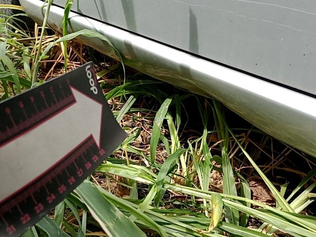 Vehicle_photo_47