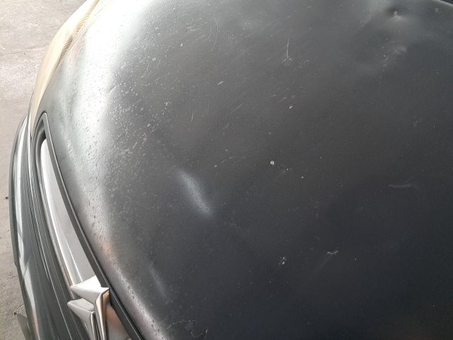 Vehicle_photo_19