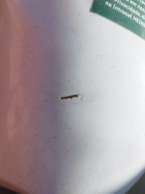 Vehicle_photo_19