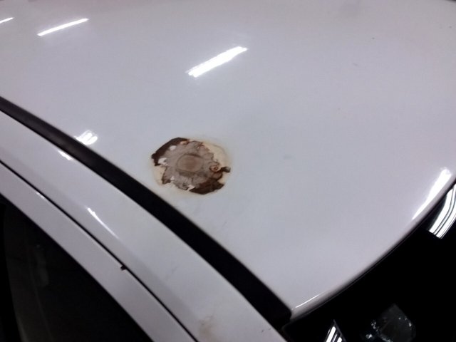 Vehicle_photo_20