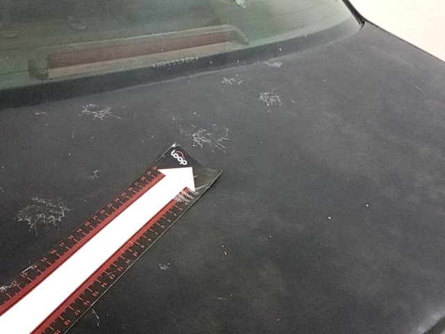 Vehicle_photo_31