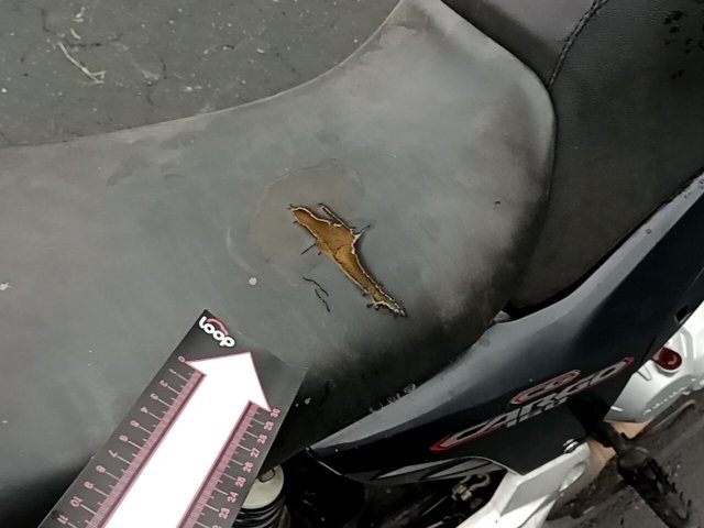 Vehicle_photo_20