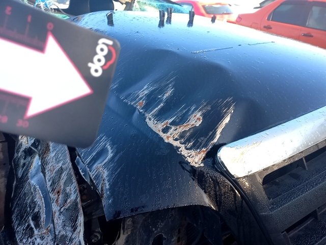 Vehicle_photo_19