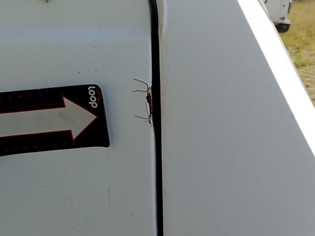 Vehicle_photo_20
